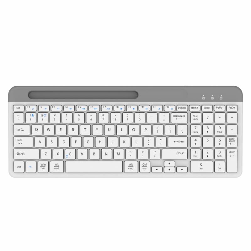 bluetooth+wireless dual model